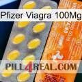Pfizer Viagra 100Mg new05